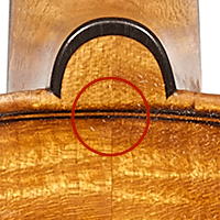 ネックのヒール部分、裏板のボタン部