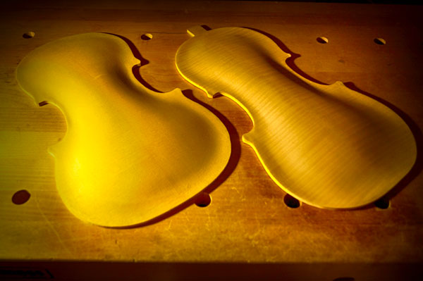 ヴァイオリンの表板と裏板のアーチ