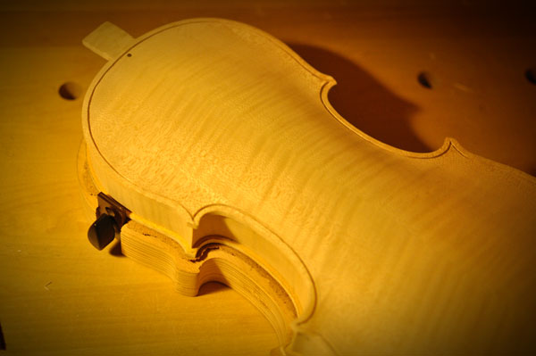 パーフリングの溝を彫り終えた裏板