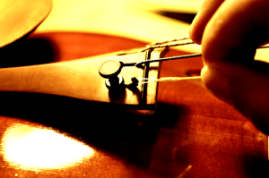 弦のループを使用してプロテクターを固定させます