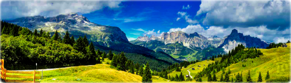 ヴァイオリン工房IL_VIOLINO_1