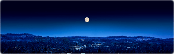 ヴァイオリン工房IL_VIOLINO_2