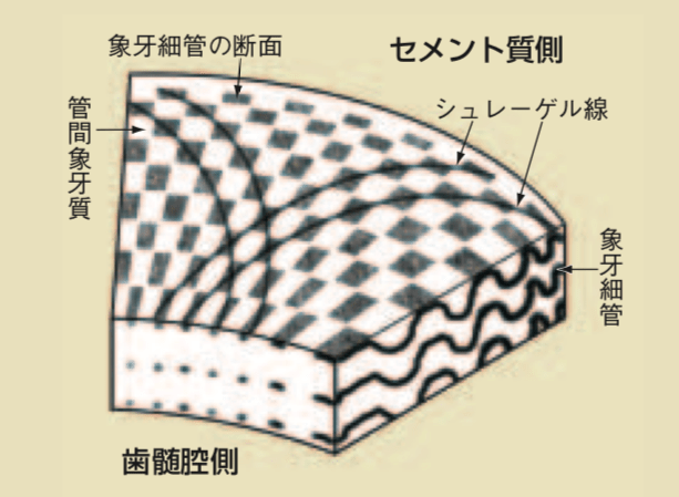 Screen Shot 2019-03-24 at 14.04.40